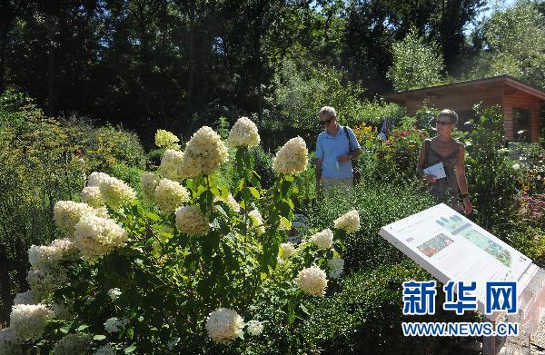 �W������2010�D�������H�@ˇ���[���_Ļ���D��