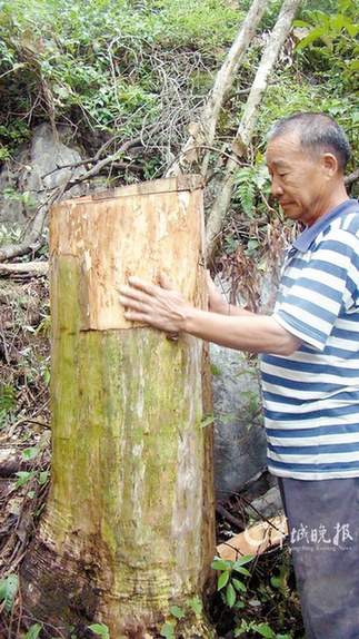 ���P(gu��n)���t��ɼ����Ƥ�ڸ�䏘�� �Ř��⯂��I��