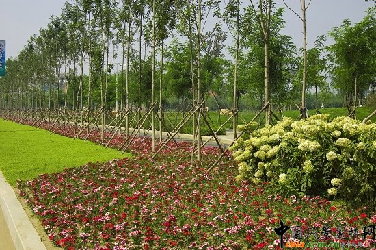 ���ܴ�?f��)����a��