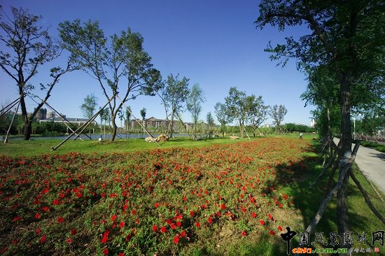 �����{(l��n)�����˾�