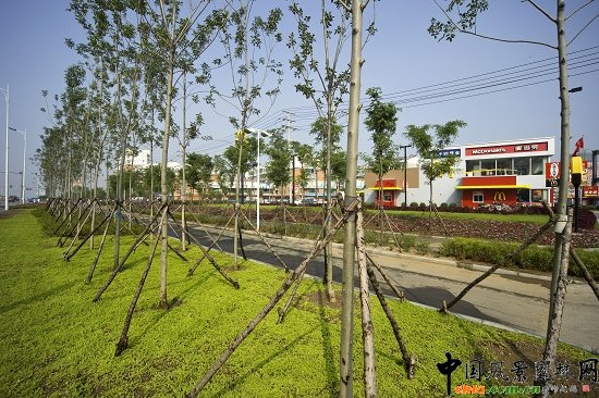 ��M�����Ϣ�ĵ�·�Nֲ