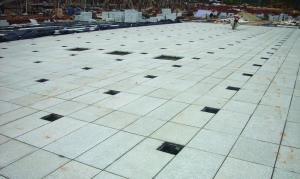 ��������b