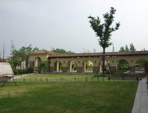 �D2���m��ʥ�Ƶ��_���Կ��g