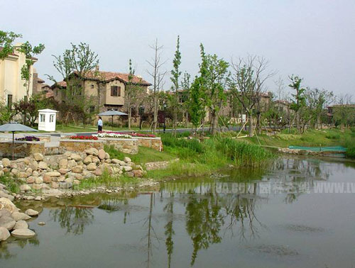 �D3��ˮ��ֲ�ʯ������ЙC�^��