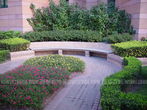 �D7��С���g��ֲ������