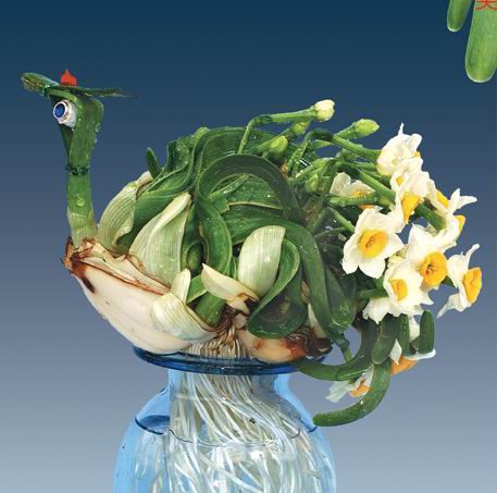 �c��DƬ�M����һ�