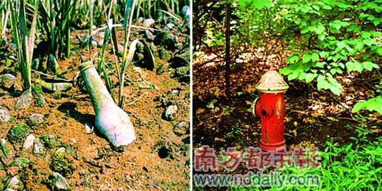 �c�����´��ڞg�[�DƬ