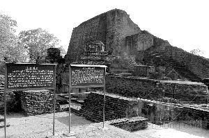 �c�����´��ڞg�[�DƬ