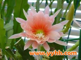 ��������ɻ����B(y��ng)�o(h��)��������