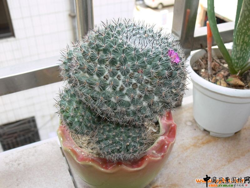 ������������Bֳ�B�o��������