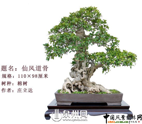 Ȫ�݃��辰�@�Ї��辰��(chu��ng)����ِ��