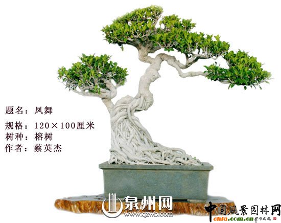 Ȫ�݃��辰�@�Ї��辰��(chu��ng)����ِ��