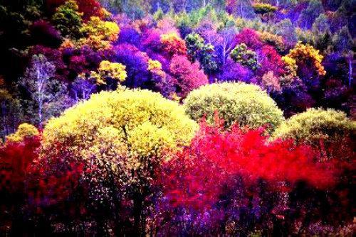 �L��ɽ�����L(f��ng)��