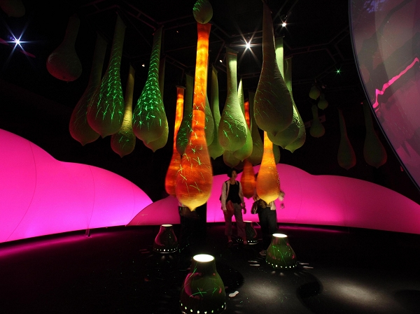 �����^����ܛ�w�OӋ