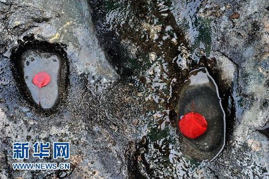 �M�D���ӱ��ƽ�h���y��؅^�l�F�����z�E