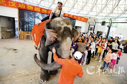 ���c�����g����h����@�οͱ���ۉ���һ������߈��Ą�������