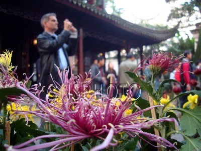 ���K���K�݈@�־ջ�չ����{����