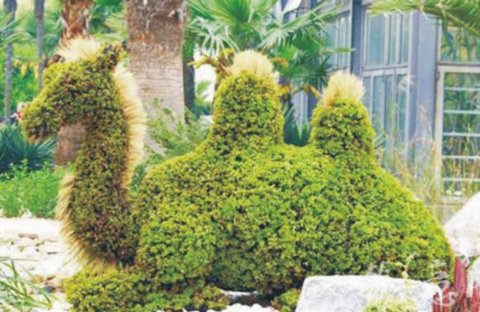 2010�������@���OӋ