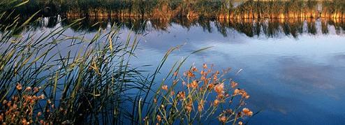 �hʯ������Ȼ���o�^