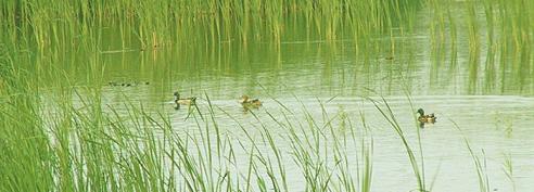 �hʯ���ر��o�D�y��