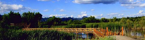 ��ʾ������ ����Ҏ��Ұ�������