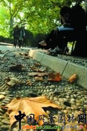 �Ϻ������o(j��)���@���هLԇ������ͩ���~