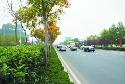 ���ǿڵ�·�G���������G���͙n�Σ��γɾG�ⰻȻ�ľ��^���