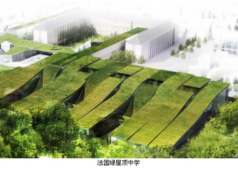 ����(gu��)�G����ЌW(xu��)