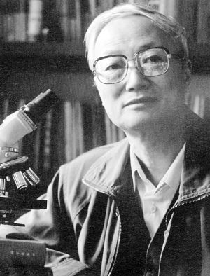 ����ֲ��W�җ���h�o��(�D)