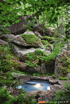 2010�������סլ���^�OӋ���\���M�D��