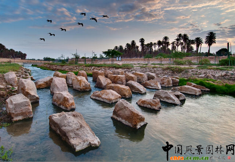 �ߵϹ��ᷨ���