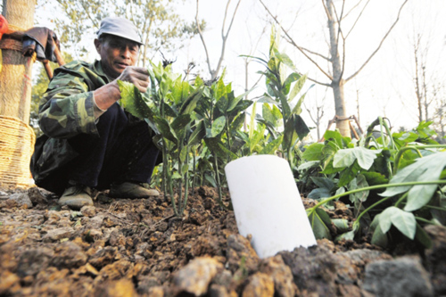 С�Έ@�ȵİ�ɫ���܌��𵽿����ͷ�����������