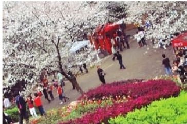 �Lɳ��ʡֲ��@�����݈@14��