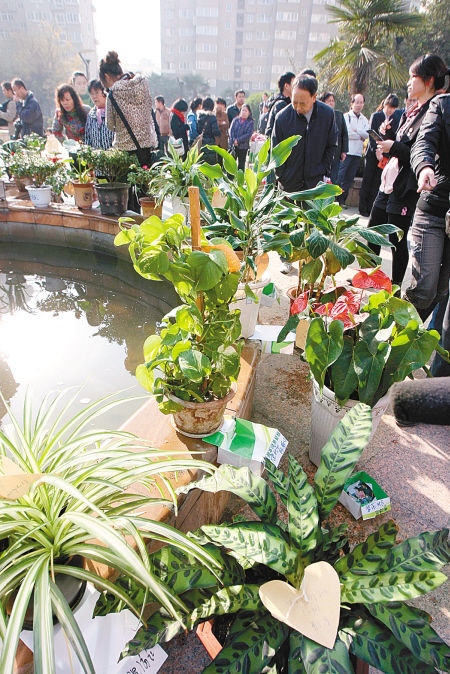 ���������̼��������(d��o)���@�Gʮ�l