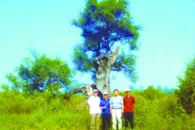 ��ꖣ�500�q�ܘ����K�ڱ�ס��