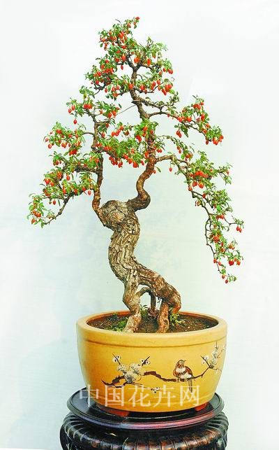 �D3�T�����۵�����辰�Ǘ��ԏ��ĵ���֮��