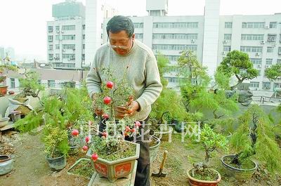 �D2���ԏ�����������辰�@�޼�ʯ���辰