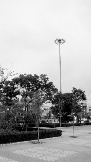 �����½��ľGɫС�Έ@