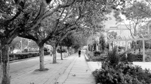 ����������ɭ�ֳ��С����錤��Ⱥ���\�Ҹ�