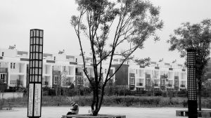 2013�ꌤ��hɭ�ָ��w���_46%����