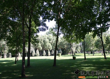 �@ұՓ������־������ֲ�ﾰ�^�ărֵ�������v