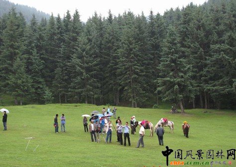 �@ұՓ������־������ֲ�ﾰ�^�ărֵ�������v