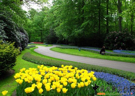 �@ұՓ������־������ֲ�ﾰ�^�ărֵ�������v