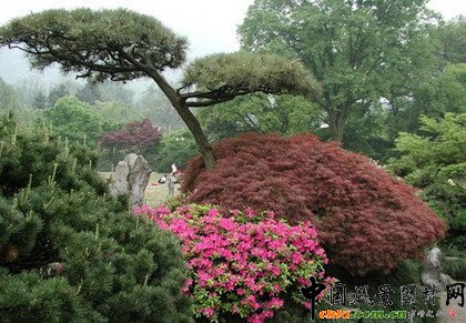     ֲ�ﾰ�^�S���r�g�a��׃���������γ��S���ĄӑB���^׃����ֲ��׃���п��������a����ҹ׃��������׃