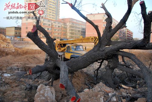 ���_���Ř�����Ҏ�����������������