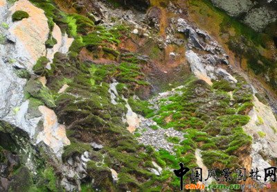 �Ꭷ���^���������^��ɳĮ���^���������^���ߺ��ξ��^���O�ؾ��^�������в�ͬ��