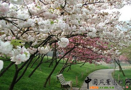 ֲ�ﾰ�^�ļ���׃��