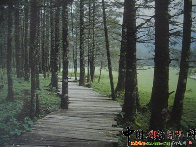 ����׃�� ���^��׃��