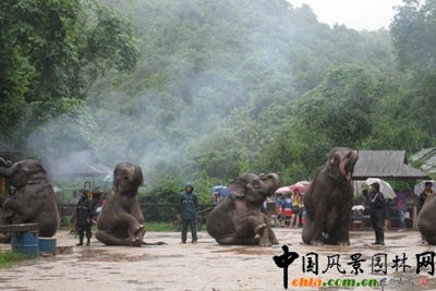 ����c����