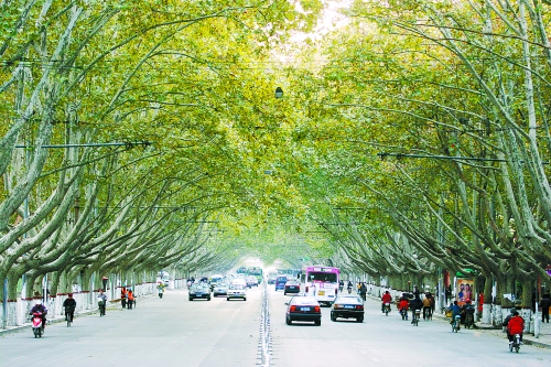 �Y�ψD ����������·�ķ�ͩ����Ŀǰ�����О锵����Ĵ��